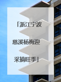浙江宁波慈溪杨梅迎采摘旺季