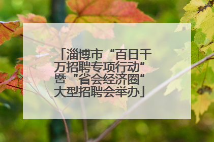 淄博市“百日千万招聘专项行动”暨“省会经济圈”大型招聘会举办