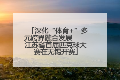 深化“体育+”多元跨界融合发展——江苏省首届匹克球大赛在无锡开赛