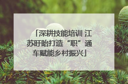深耕技能培训 江苏盱眙打造“职”通车赋能乡村振兴