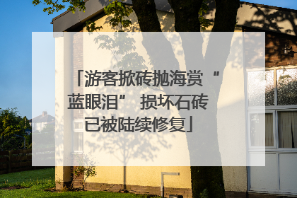 游客掀砖抛海赏“蓝眼泪” 损坏石砖已被陆续修复