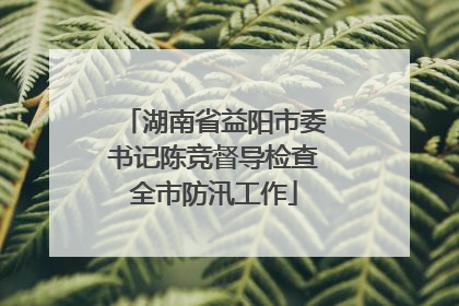 湖南省益阳市委书记陈竞督导检查全市防汛工作