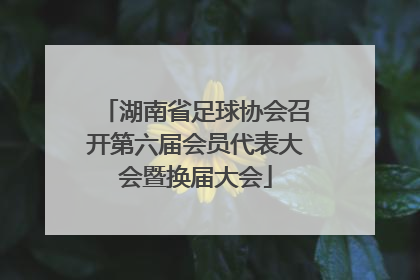 湖南省足球协会召开第六届会员代表大会暨换届大会