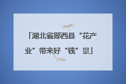 湖北省郧西县“花产业”带来好“钱”景