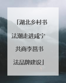 湖北乡村书法潮走进咸宁 共商李邕书法品牌建设