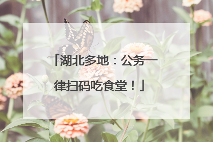 湖北多地：公务一律扫码吃食堂！