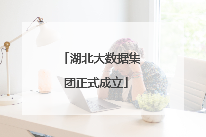 湖北大数据集团正式成立