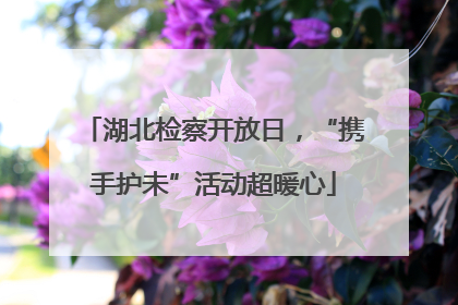 湖北检察开放日，“携手护未”活动超暖心