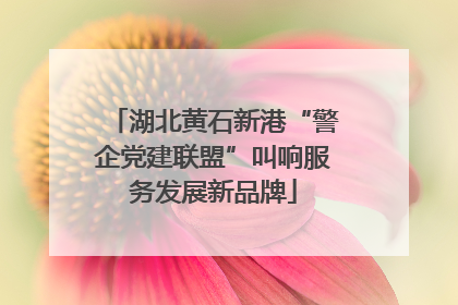 湖北黄石新港“警企党建联盟”叫响服务发展新品牌