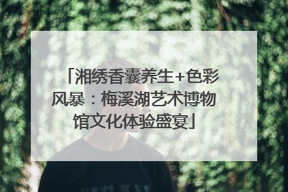 湘绣香囊养生+色彩风暴：梅溪湖艺术博物馆文化体验盛宴