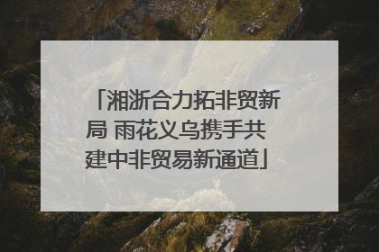 湘浙合力拓非贸新局 雨花义乌携手共建中非贸易新通道