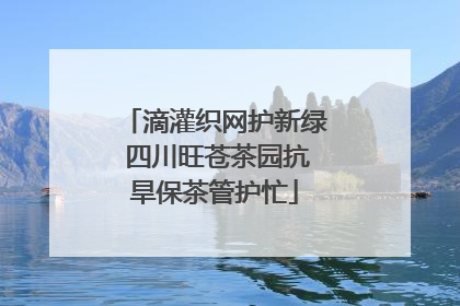 滴灌织网护新绿 四川旺苍茶园抗旱保茶管护忙