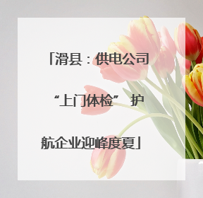 滑县：供电公司“上门体检” 护航企业迎峰度夏