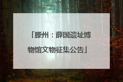 滕州：薛国遗址博物馆文物征集公告