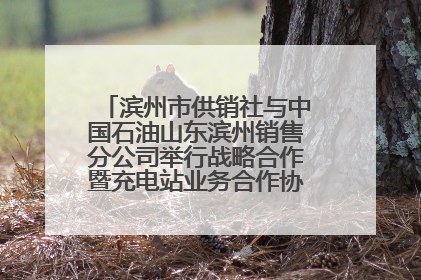 滨州市供销社与中国石油山东滨州销售分公司举行战略合作暨充电站业务合作协议签约仪式
