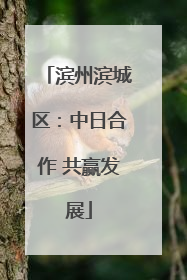 滨州滨城区：中日合作 共赢发展