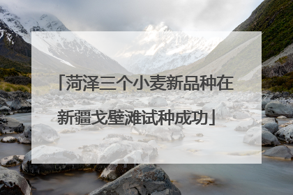 菏泽三个小麦新品种在新疆戈壁滩试种成功