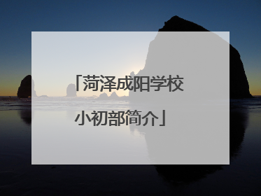 菏泽成阳学校小初部简介