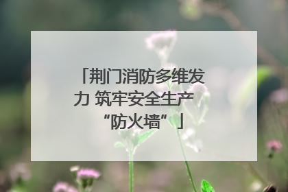 荆门消防多维发力 筑牢安全生产“防火墙”