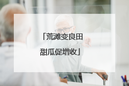 荒滩变良田 甜瓜促增收