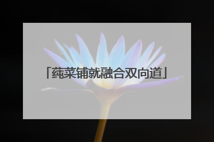 莼菜铺就融合双向道