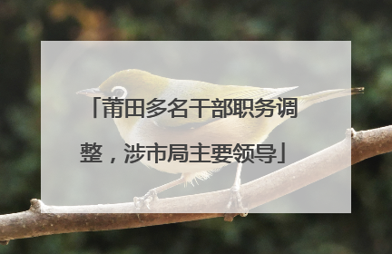 莆田多名干部职务调整，涉市局主要领导
