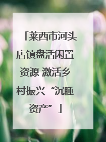 莱西市河头店镇盘活闲置资源 激活乡村振兴“沉睡资产”