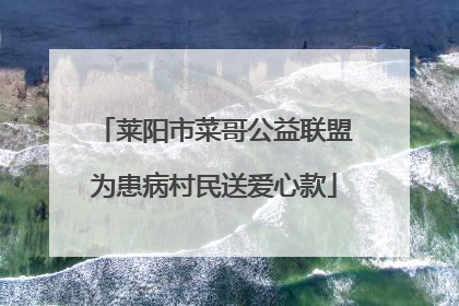 莱阳市菜哥公益联盟为患病村民送爱心款