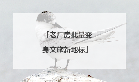 老厂房批量变身文旅新地标