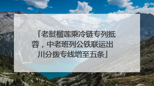 老挝榴莲乘冷链专列抵蓉，中老班列公铁联运出川分拨专线增至五条