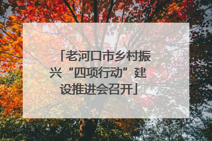 老河口市乡村振兴“四项行动”建设推进会召开