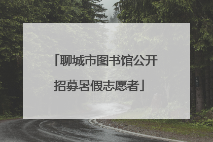 聊城市图书馆公开招募暑假志愿者