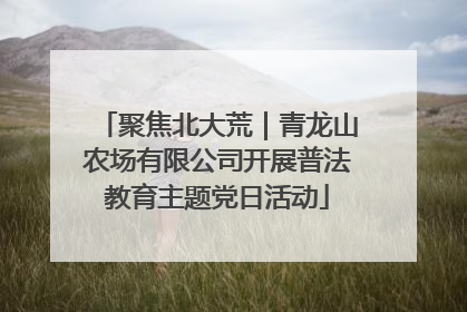 聚焦北大荒｜青龙山农场有限公司开展普法教育主题党日活动