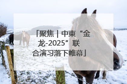 聚焦｜中柬“金龙-2025”联合演习落下帷幕