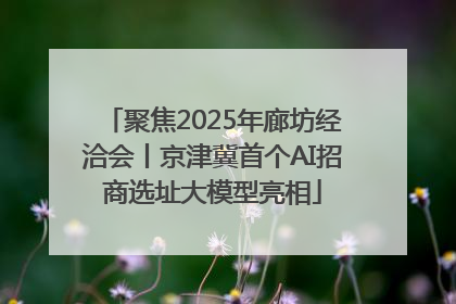 聚焦2025年廊坊经洽会丨京津冀首个AI招商选址大模型亮相