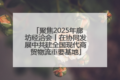 聚焦2025年廊坊经洽会丨在协同发展中共建全国现代商贸物流重要基地