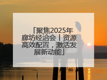 聚焦2025年廊坊经洽会丨资源高效配置，激活发展新动能