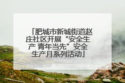 肥城市新城街道赵庄社区开展“安全生产 青年当先”安全生产月系列活动
