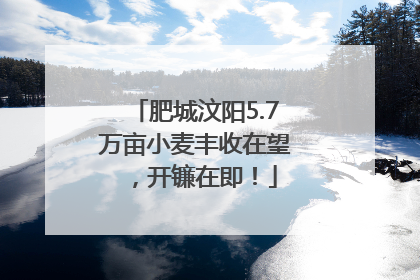 肥城汶阳5.7万亩小麦丰收在望，开镰在即！