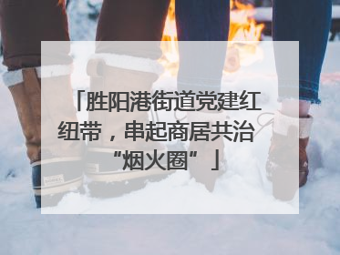 胜阳港街道党建红纽带，串起商居共治 “烟火圈”