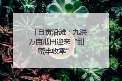 自贡沿滩：九洪万亩瓜田迎来“甜蜜丰收季”