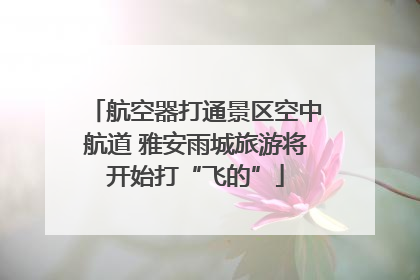 航空器打通景区空中航道 雅安雨城旅游将开始打“飞的”