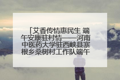 艾香传情惠民生 端午安康驻村情——河南中医药大学驻西峡县寨根乡桑树村工作队端午中医惠民记