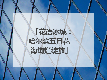 花语冰城：哈尔滨五月花海绚烂绽放