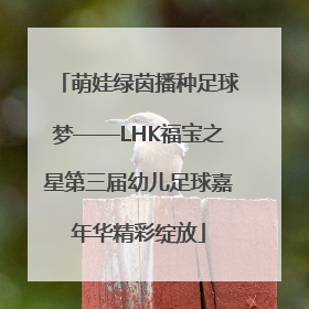 萌娃绿茵播种足球梦——LHK福宝之星第三届幼儿足球嘉年华精彩绽放