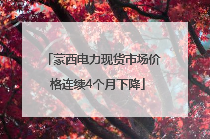 蒙西电力现货市场价格连续4个月下降