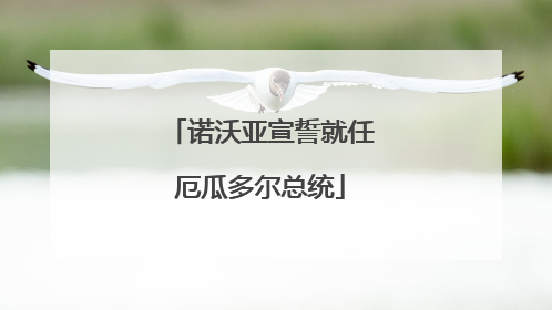 诺沃亚宣誓就任厄瓜多尔总统