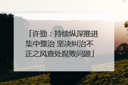 许勤：持续纵深推进集中整治 坚决纠治不正之风查处腐败问题