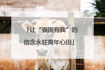 让“强国有我”的信念永驻青年心田