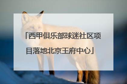 西甲俱乐部球迷社区项目落地北京王府中心